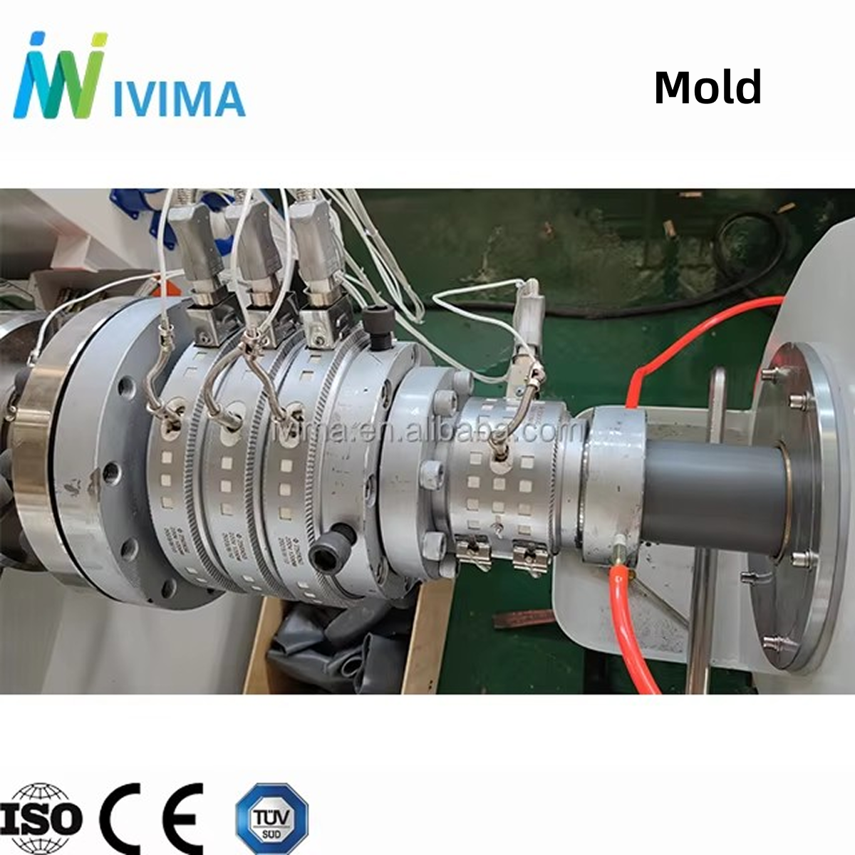 <strong>Mold</strong>